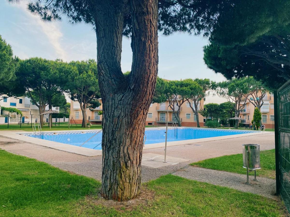 Apartment De 3 Habitaciones, Zona Muy Tranquila A Unos Minutos De La Playa *